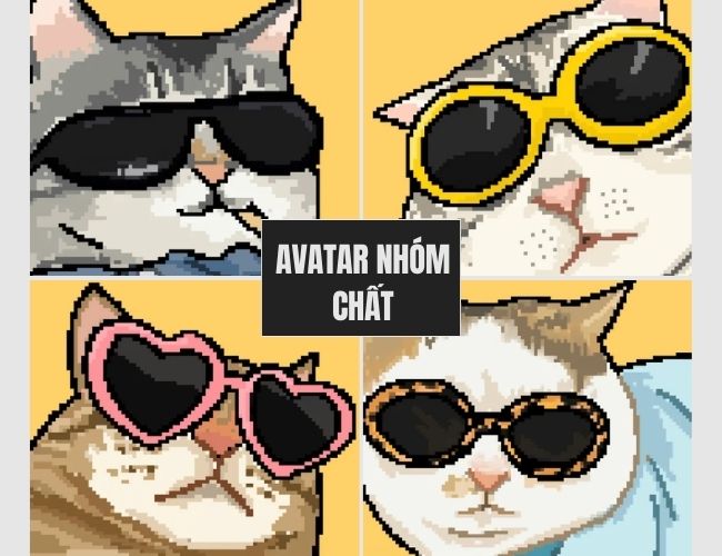 avatar nhóm cá tính