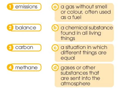 Read the article again. Match the highlighted words with their meanings. 