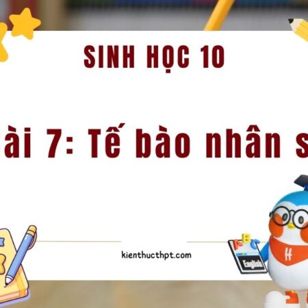 Giải sinh 10 bài 7 kết nối tri thức: Tế bào nhân sơ trang 44