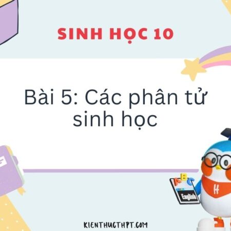 Hướng dẫn giải Sinh 10 Kết nối tri thức Bài 5 từ A – Z