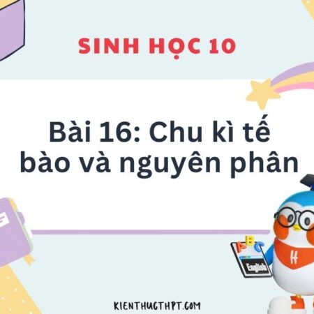 Hướng dẫn giải chi tiết Sinh học 10 Kết nối tri thức Bài 16