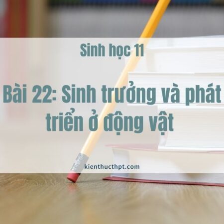 Giải Sinh 11 bài 21: Sinh trưởng và phát triển ở động vật