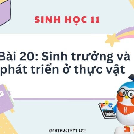 Giải bài 20 Sinh trưởng và phát triển ở thực vật – Trang 129