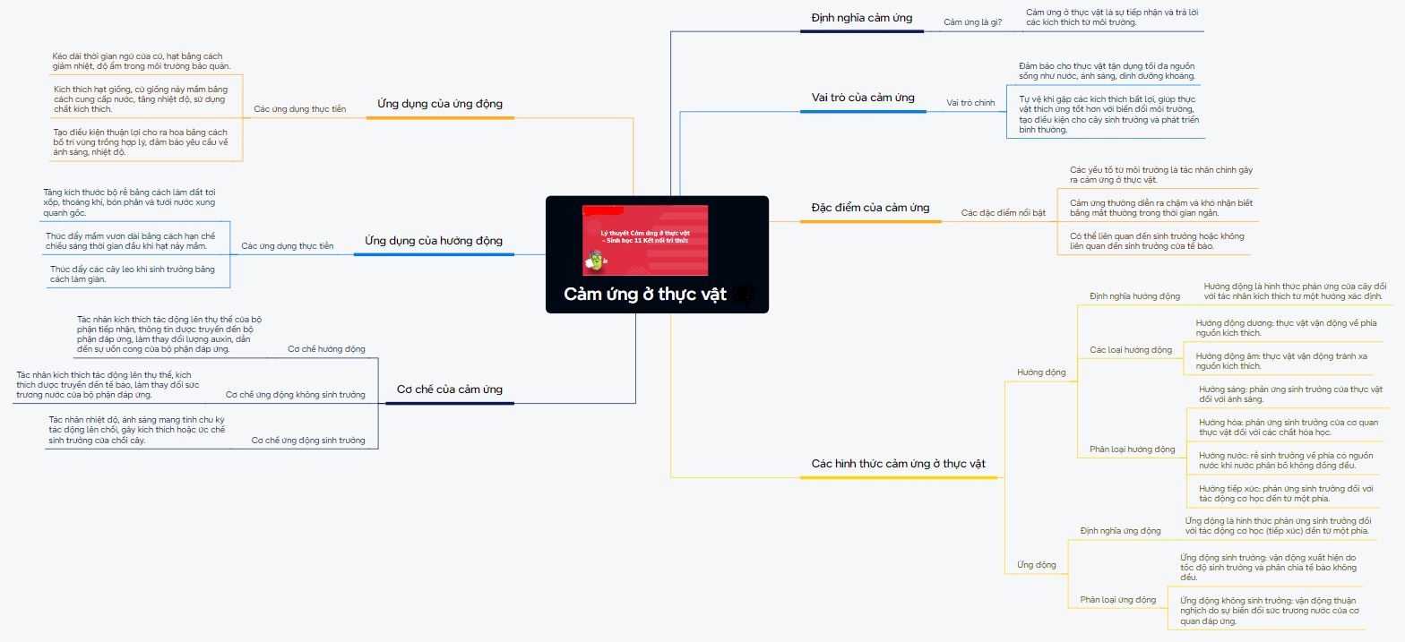 Tóm tắt lý thuyết cảm ứng ở thực vật bằng sơ đồ tư duy