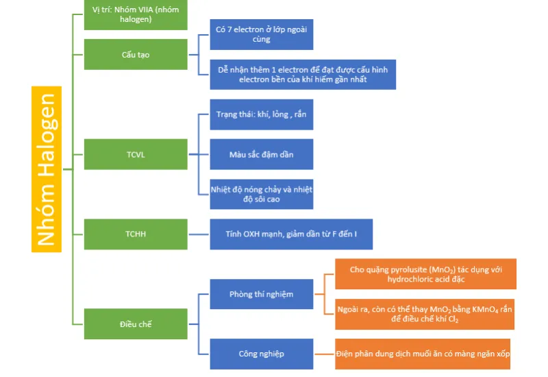 Sơ đồ tư duy Hóa 10 Kết nối tri thức Bài 21: Nhóm Halogen