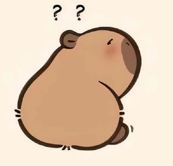 hình ảnh capybara meme vui nhộn