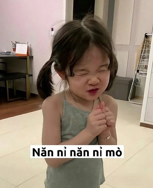 meme năn nỉ của em bé siêu cute