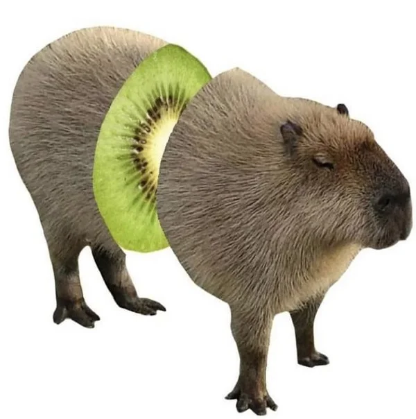 con capybara meme cực kỳ ngộ nghĩnh