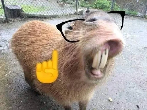 hình ảnh capybara meme độc lạ