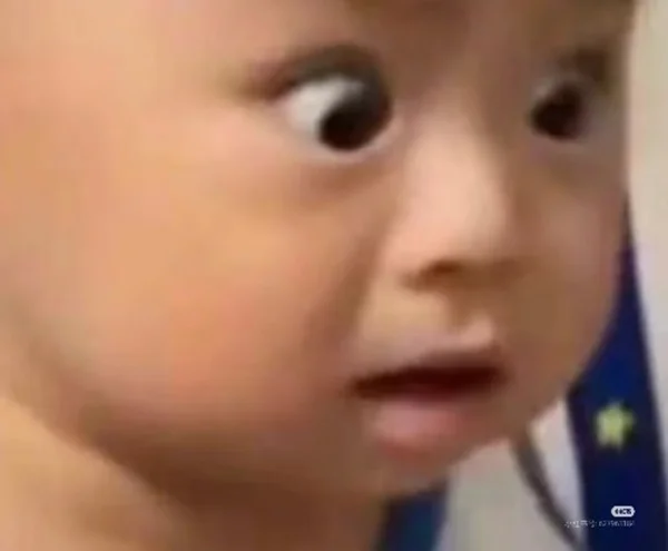 ảnh meme bất ngờ đáng yêu