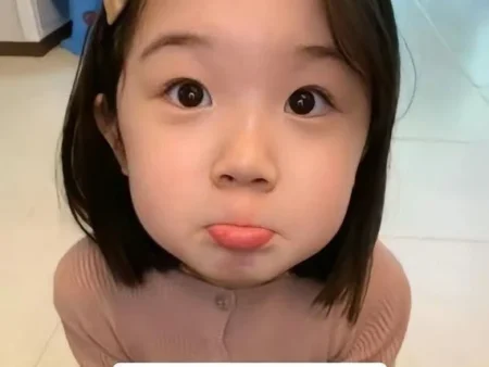 Bộ sưu tập 85+ ảnh meme năn nỉ cute, đáng yêu siêu hài hước