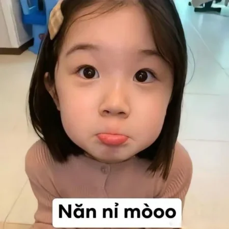 Bộ sưu tập 85+ ảnh meme năn nỉ cute, đáng yêu siêu hài hước
