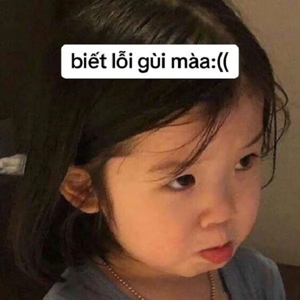 ảnh em meme năn nỉ siêu cute