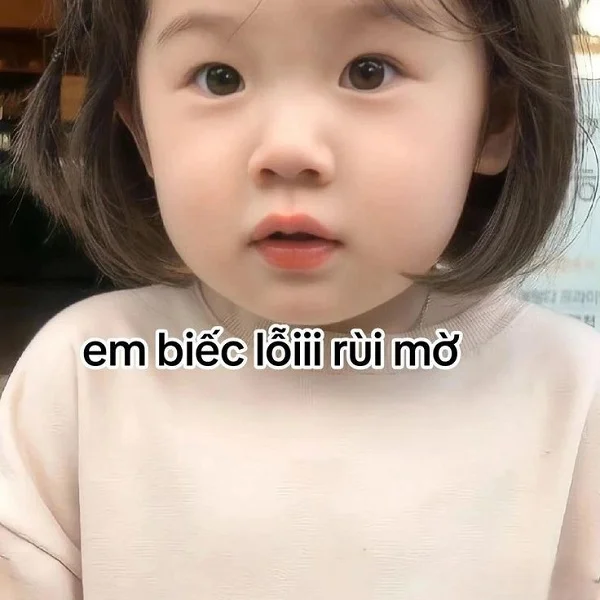 ảnh em bé meme năn nỉ cực đáng yêu