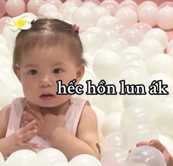 meme bé pam rất thú vị