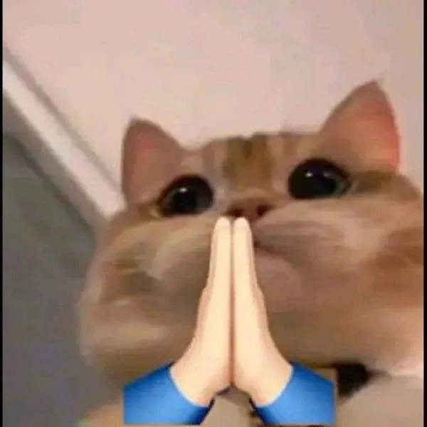mô phật meme con mèo dễ thương