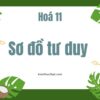 Tổng hợp sơ đồ tư duy Hóa 11 Kết nối tri thức đầy đủ nhất