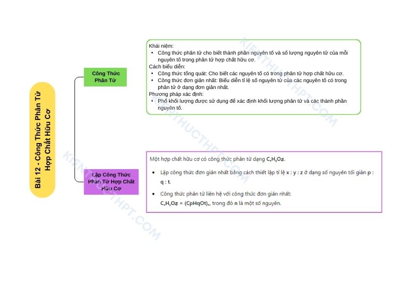 sơ đồ tư duy hóa 11 KNTT Bài 12: Công thức phân tử hợp chất hữu cơ
