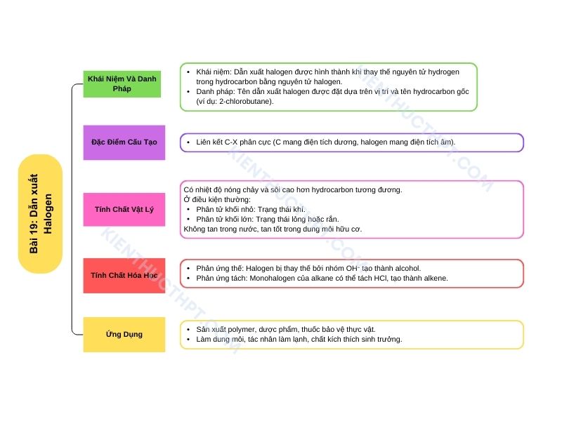 sơ đồ tóm tắt Bài 19: Dẫn xuất halogen