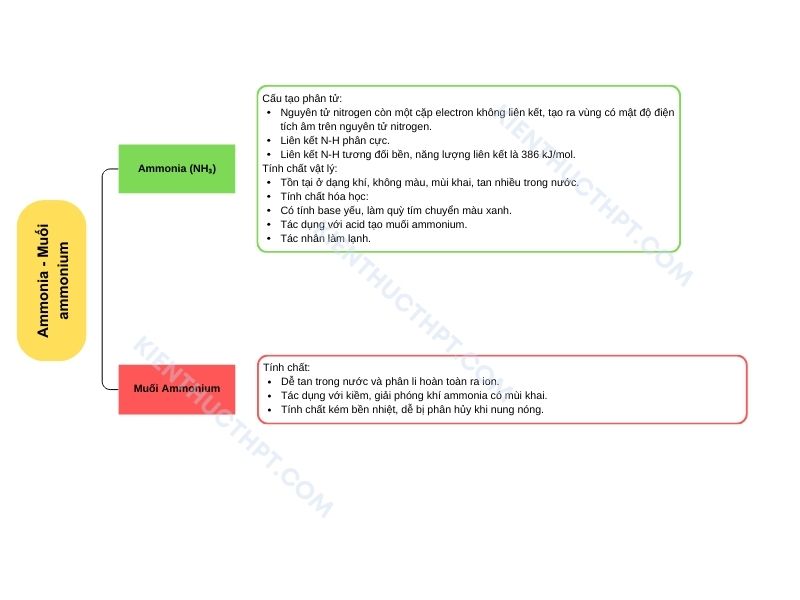 sơ đồ tư duy hóa học 11 Bài 5: Ammonia. Muối ammonium