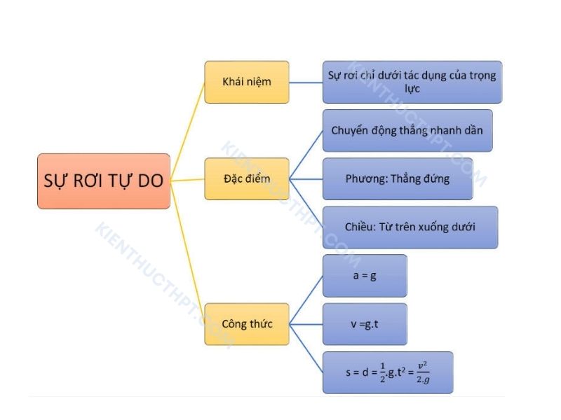 sơ đồ tư duy lý 10 kết nối tri thức Bài 10: Sự rơi tự do