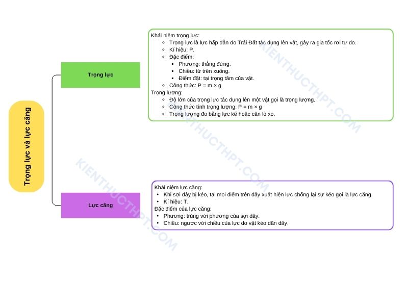 sơ đồ tư duy lý 10 Bài 17: Trọng lực và lực căng