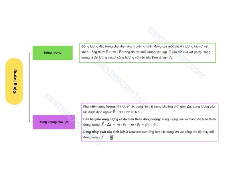 sơ đồ tư duy Bài 28: Động lượng