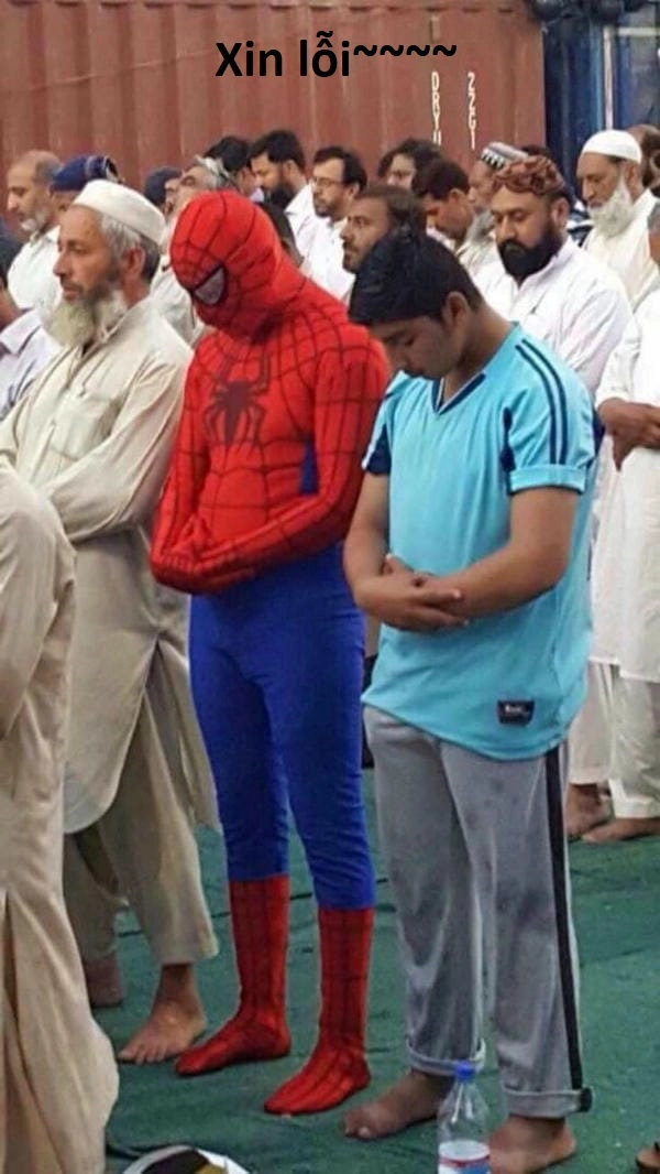 Ảnh SpiderMan meme mới nhất
