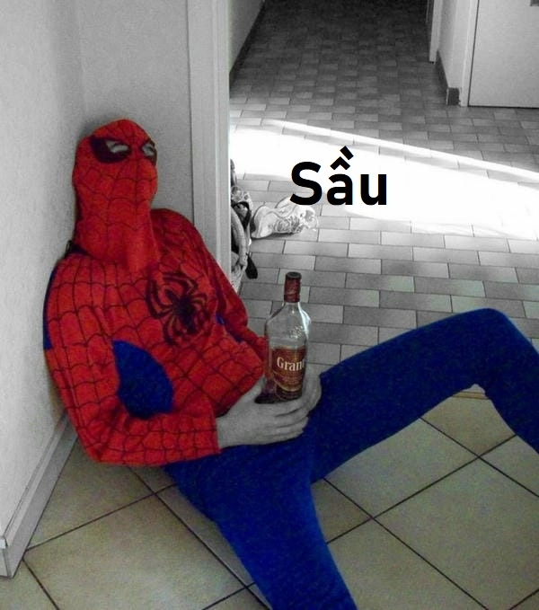 Bộ sưu tập Người Nhện meme