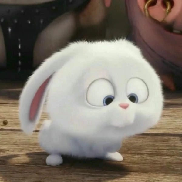 avatar bựa troll thỏ xinh