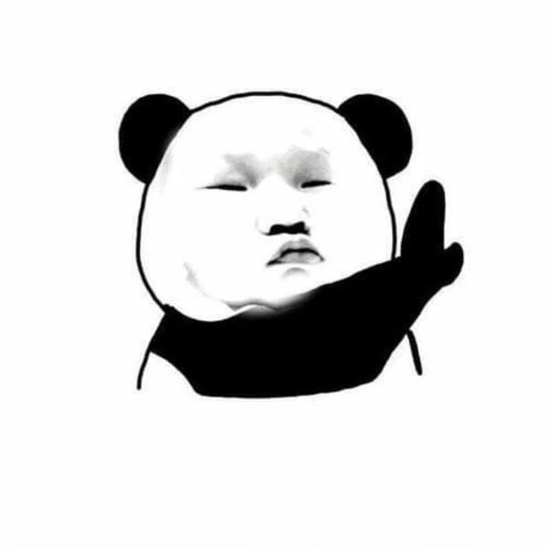 avatar bựa troll gấu trúc