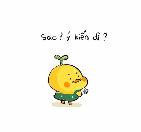 avatar bựa troll bá đạo