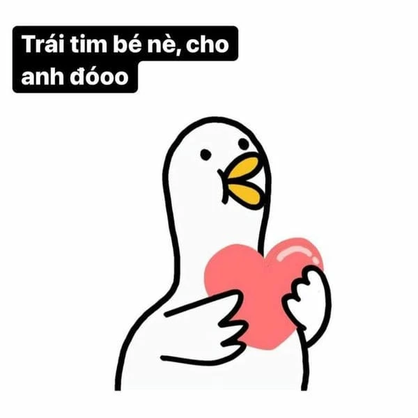 ảnh đại diện con vịt hài bựa