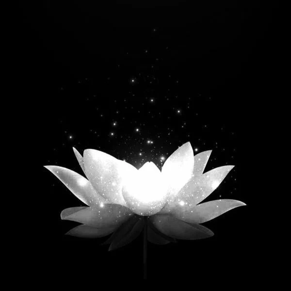 Hình đại diện đám tang ý nghĩa