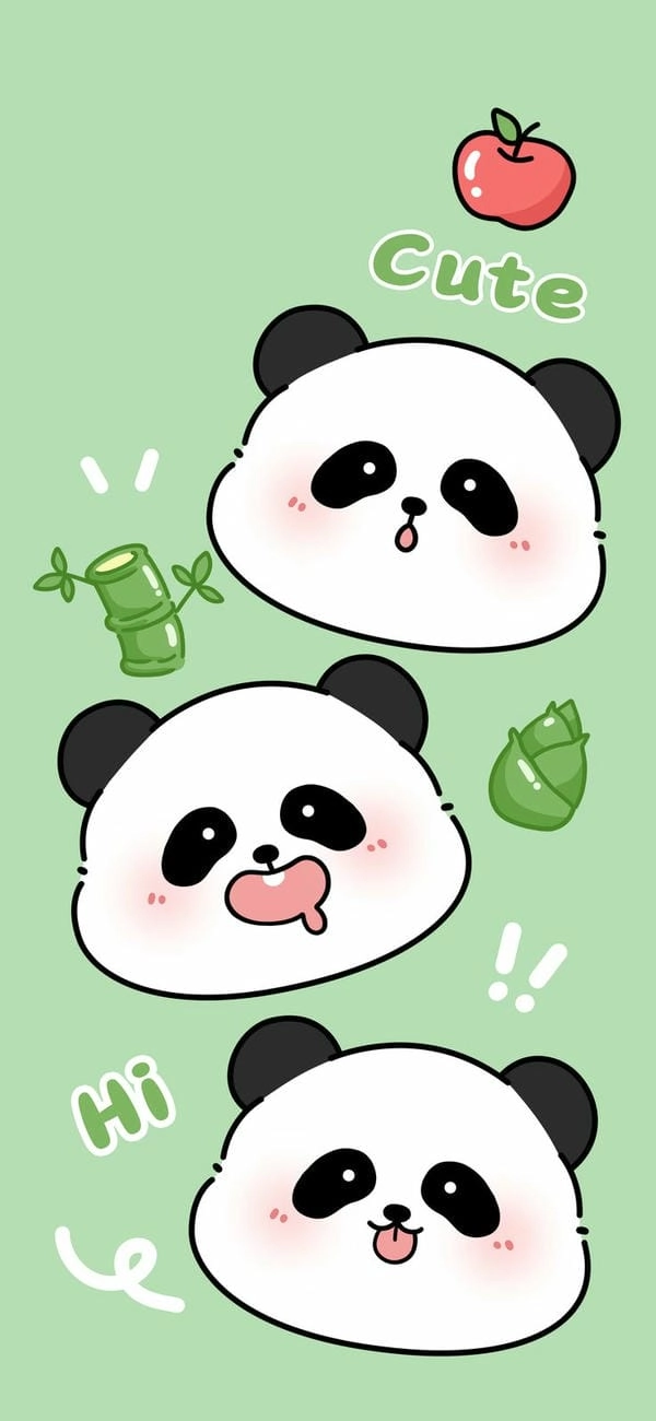 hình nền điện thoại gấu trúc panda