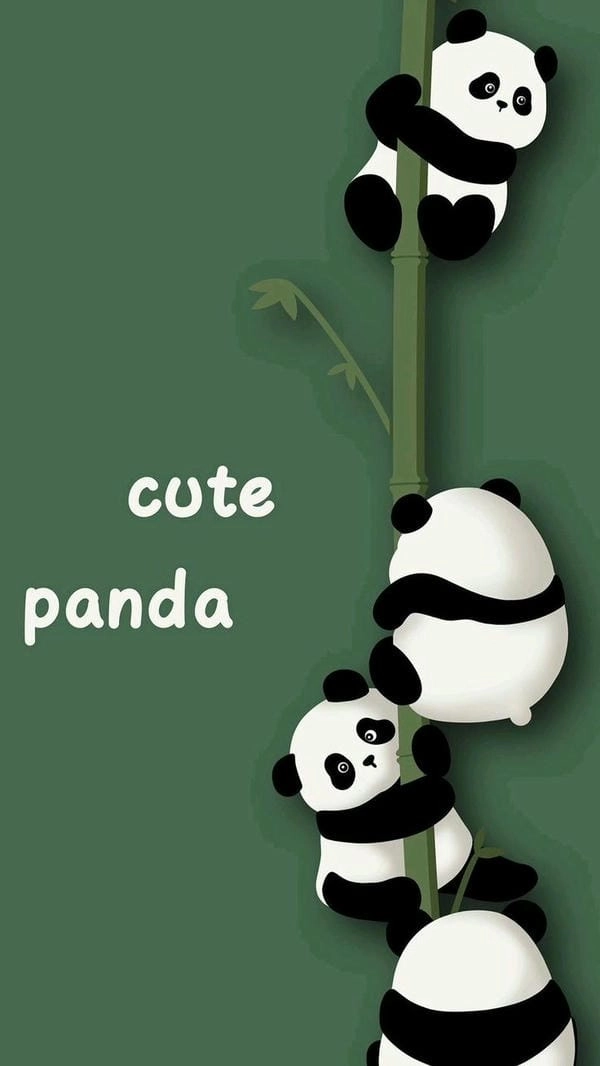 Ảnh gấu trúc cute làm background điện thoại