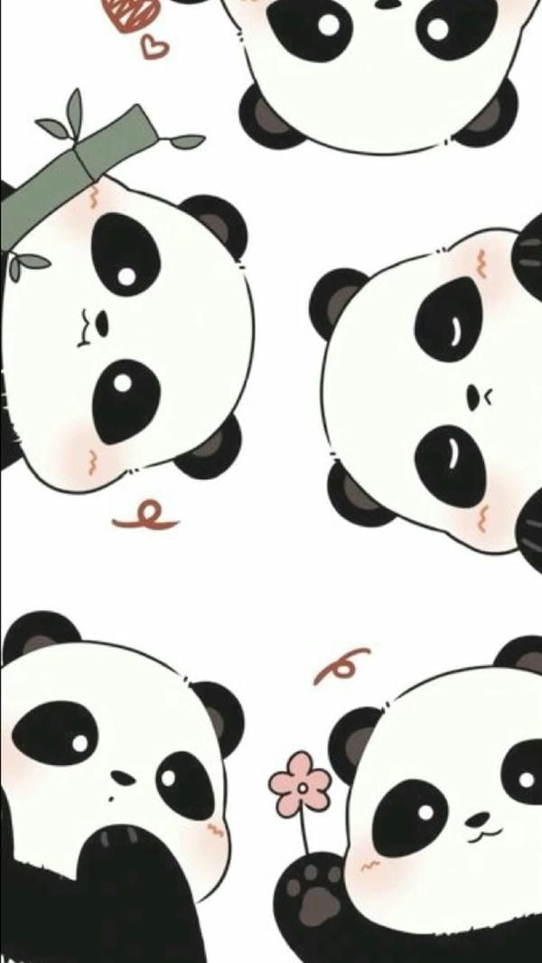 Ảnh nền panda đẹp cho điện thoại