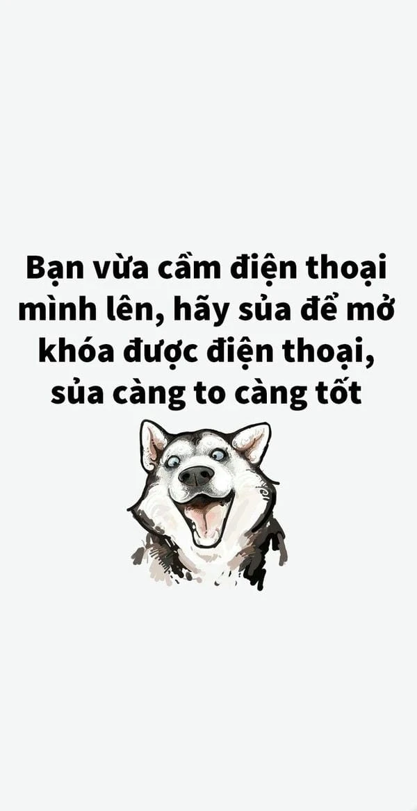 Hình nền điện thoại troll độc nhất vô nhị