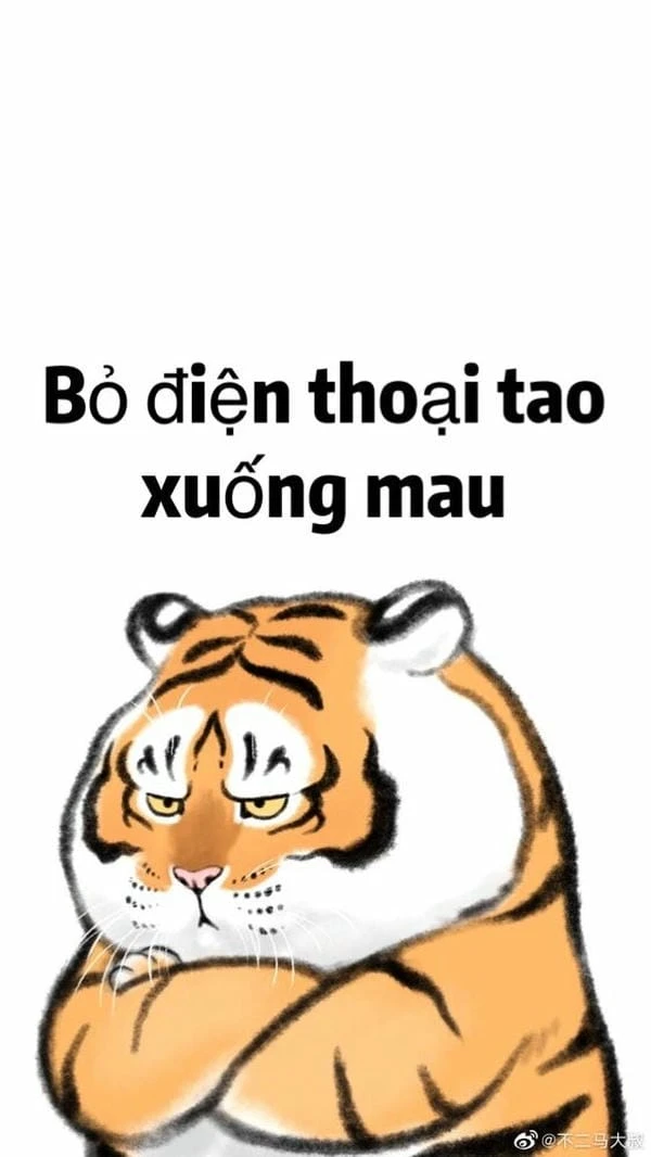 Hình nền khóa điện thoại troll hài lầy lội