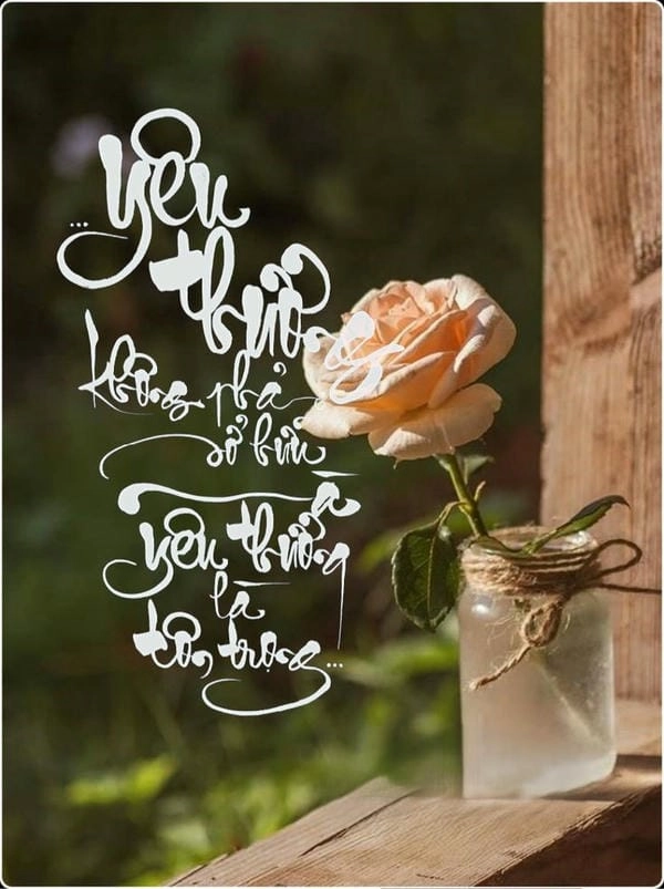 Bộ hình nền thư pháp đẹp cho điện thoại được yêu thích nhất