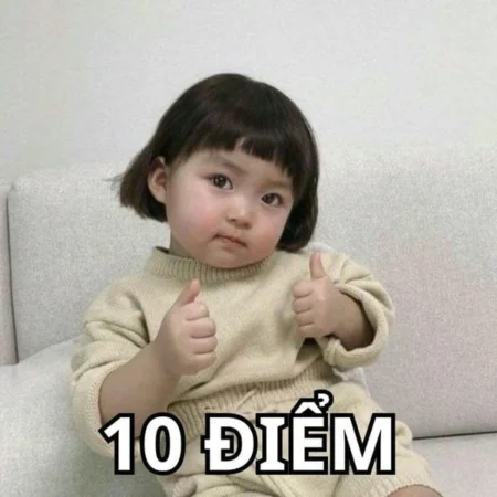 Bộ sưu tập meme 10 điểm không có nhưng thú vị hot nhất