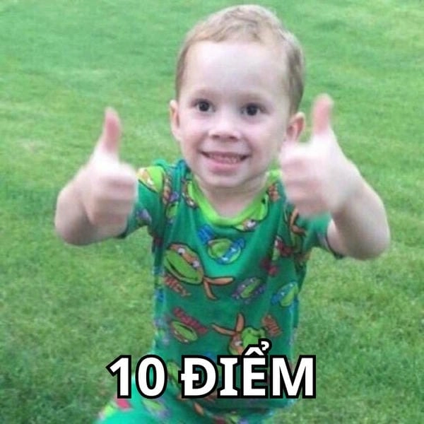 Meme 10 điểm không thể bỏ qua