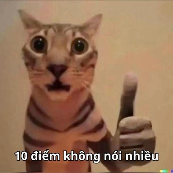 meme 10 điểm không có nhưng