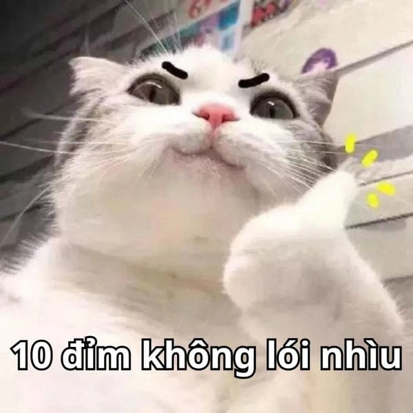 10 điểm meme không nói nhìu