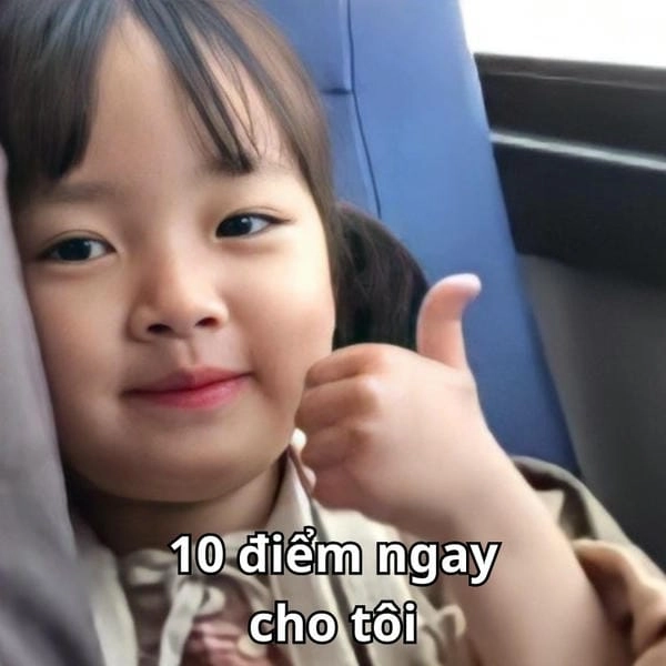 10 điểm meme like