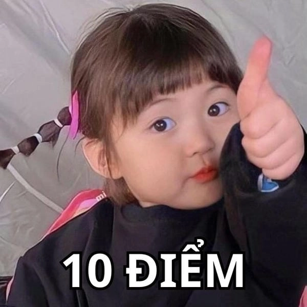 10 điểm meme em bé cute