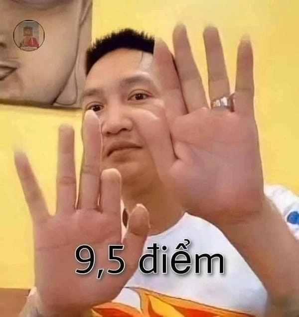 meme 9.5 điểm huấn hoa hồng