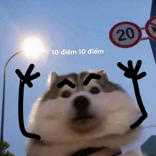 Meme 10 điểm siêu lầy lội