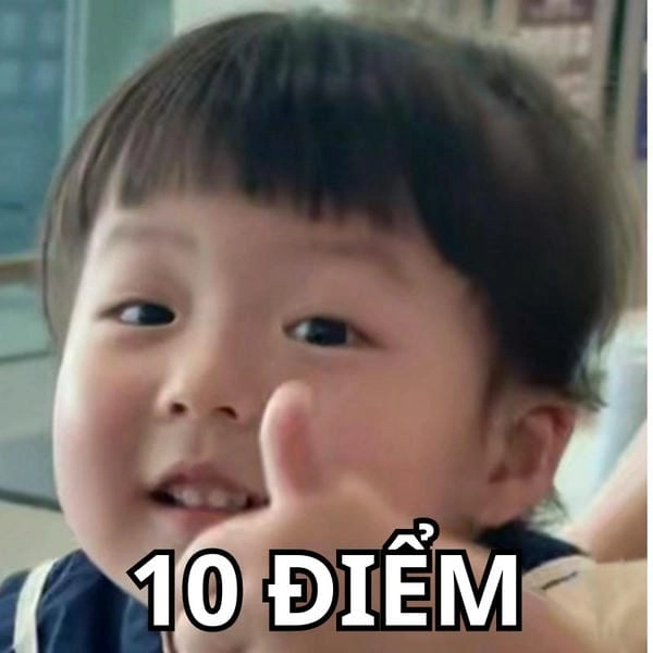 Meme 10 điểm viral cực mạnh