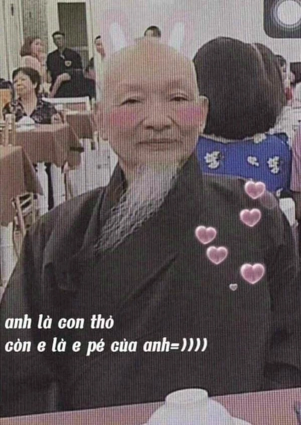 hình ảnh meme bựa sư tổ